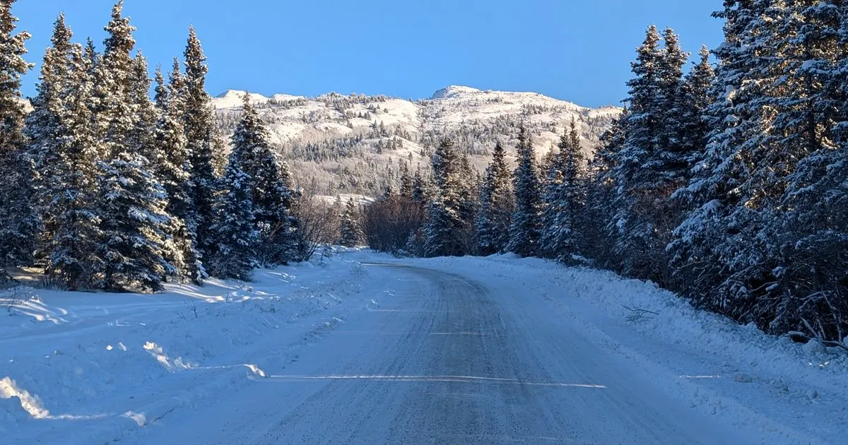 Car loans Yukon: a snow-packed road through pine country